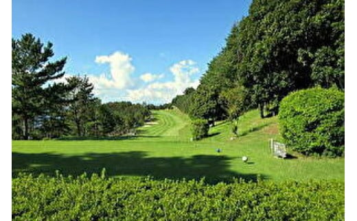 ゴルフ優待プレー補助利用券(ウッドストックカントリークラブ)5000円分
008-001|ゴルフ ゴルフ場ゴルフ ゴルフ場ゴルフ ゴルフ場ゴルフ ゴルフ場ゴルフ ゴルフ場ゴルフ ゴルフ場ゴルフ ゴルフ場ゴルフ ゴルフ場ゴルフ ゴルフ場ゴルフ ゴルフ場ゴルフ ゴルフ場ゴルフ ゴルフ場ゴルフ ゴルフ場ゴルフ ゴルフ場|