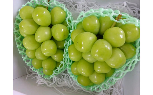 【2026年発送★先行予約】葡萄の一大産地！笛吹市産シャインマスカット2kg 167-012