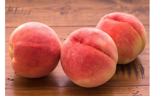 【2026年発送★先行予約】果物王国　笛吹市産の桃　1.6kg以上　5～8玉 168-002-26y