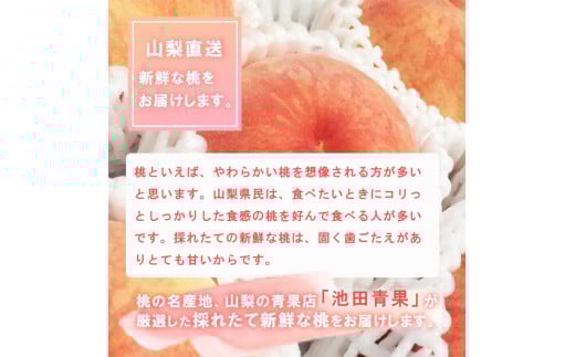 【2026年発送★先行予約】 厳選!!池田青果の桃　2kg　5～8玉 173-004