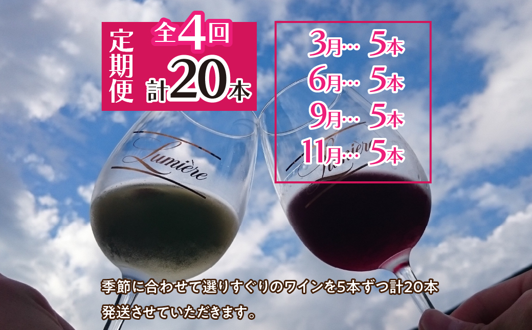 ルミエール ～ワイン定期便フルコース～063-005|ワイン 定期便ワイン 定期便ワイン 定期便ワイン 定期便ワイン 定期便ワイン 定期便ワイン 定期便ワイン 定期便ワイン 定期便ワイン 定期便ワイン 定期便ワイン 定期便ワイン 定期便ワイン 定期便|