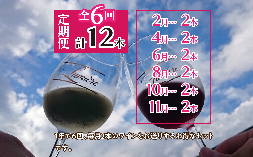 ルミエール ～ワイン定期便ハーフコース～063-006|ワイン 定期便ワイン 定期便ワイン 定期便ワイン 定期便ワイン 定期便ワイン 定期便ワイン 定期便ワイン 定期便ワイン 定期便ワイン 定期便ワイン 定期便ワイン 定期便ワイン 定期便ワイン 定期便|