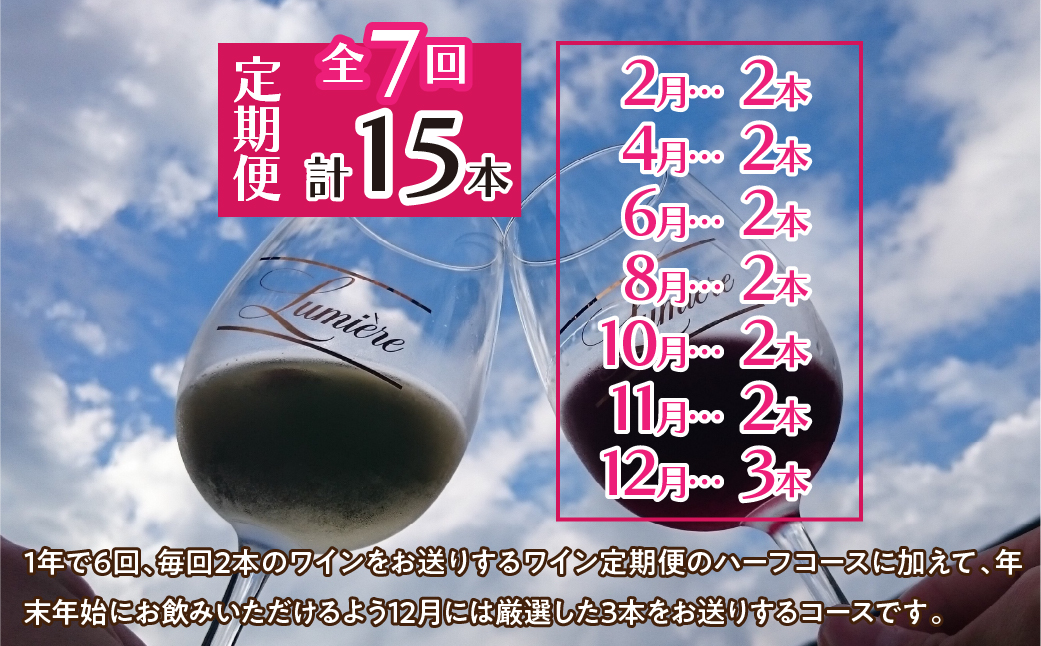ルミエール ～ワイン定期便ハーフコースプラス～063-007|ワイン 定期便ワイン 定期便ワイン 定期便ワイン 定期便ワイン 定期便ワイン 定期便ワイン 定期便ワイン 定期便ワイン 定期便ワイン 定期便ワイン 定期便ワイン 定期便ワイン 定期便ワイン 定期便|