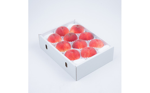 【2026年発送★先行予約】やまなし旬の果実 笛吹の朝採り桃3.0kg065-019