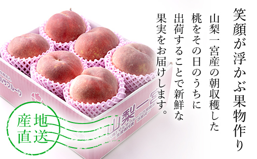 【2026年発送★先行予約】特大桃 5～6個入り 約2.0kg 山梨一宮産の桃 朝採り 産地直送 088-001