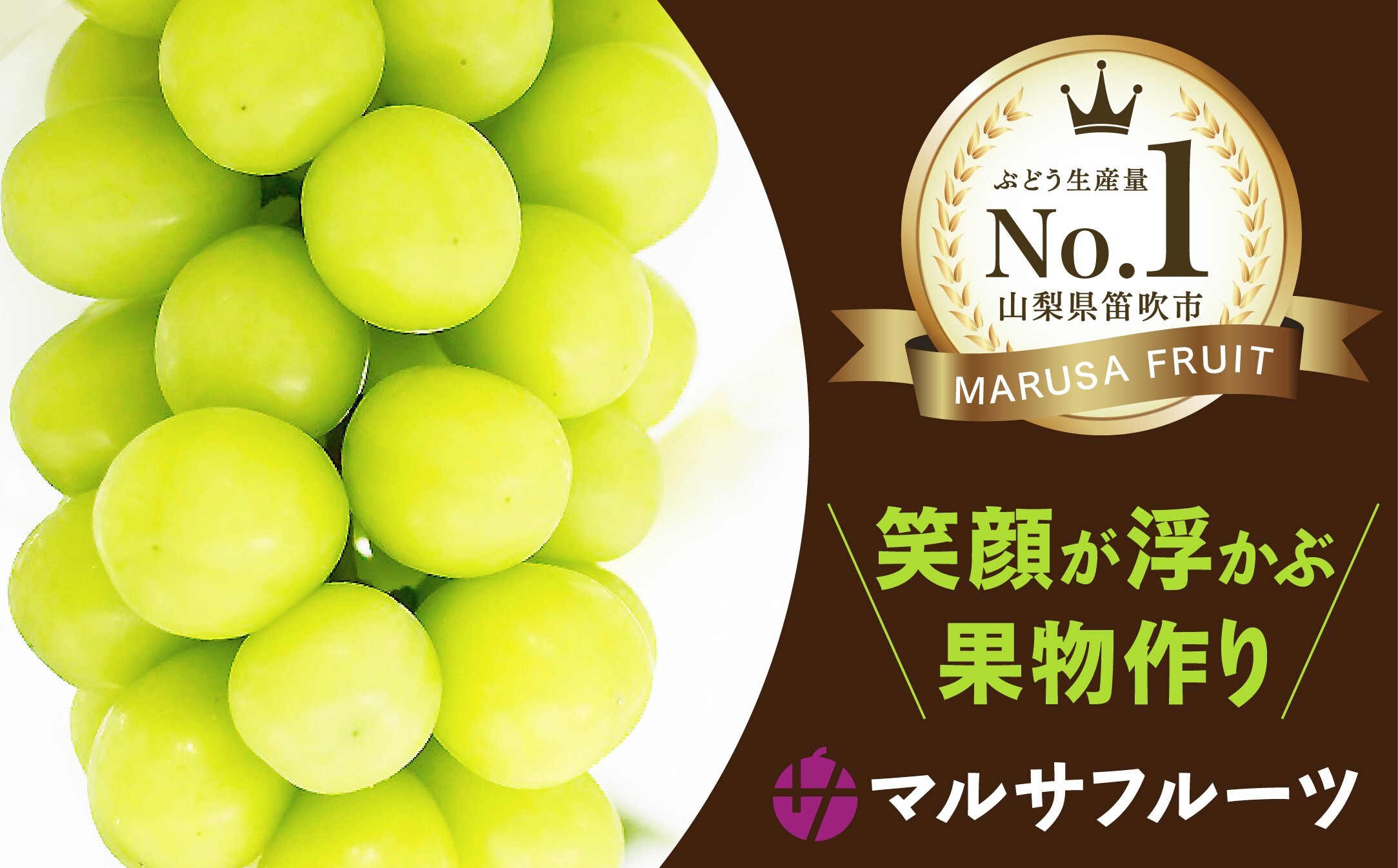 【2026年発送★先行予約】シャインマスカット ビックサイズ１房　山梨県笛吹市一宮産 朝採り 産地直送 088-041