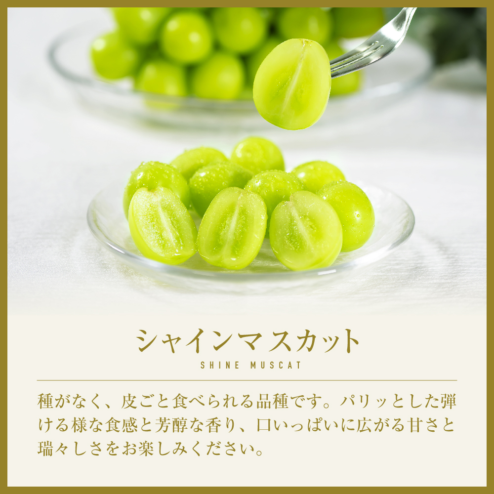【2026年発送★先行予約】山梨県笛吹市産 シャインマスカット 優等品 約1kg 2～3房 【ご家庭用】 105-025