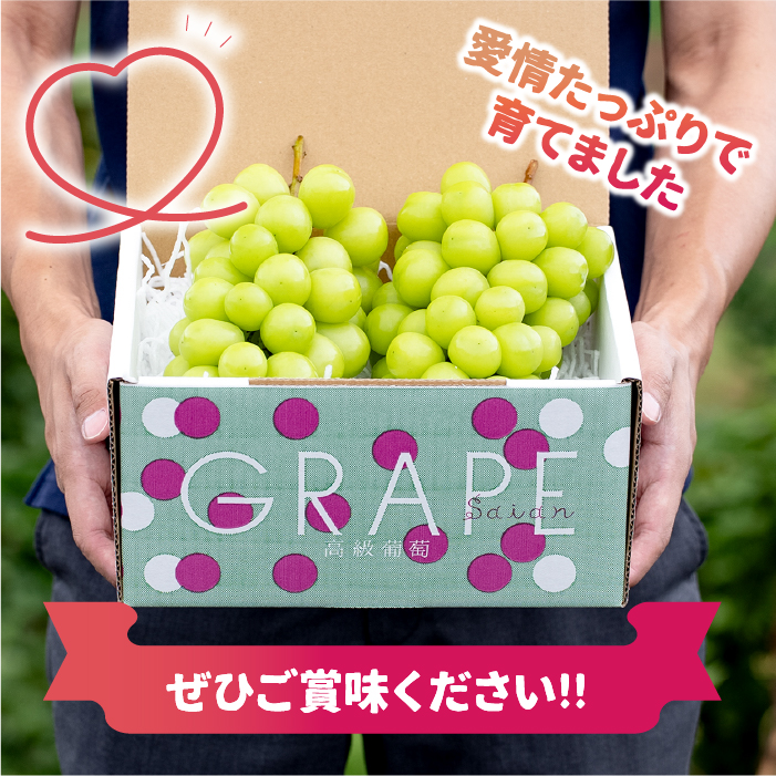 【2026年発送★先行予約】産地厳選シャインマスカット2.2kg（3房～5房）106-004