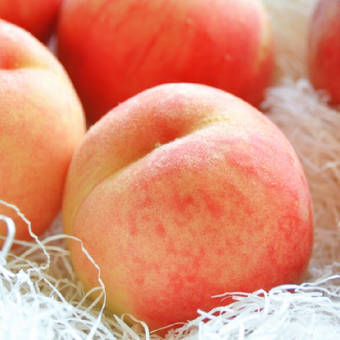 ふえふき旬のフルーツ定期便（桃・シャインマスカット）全2回【LL】 109-023