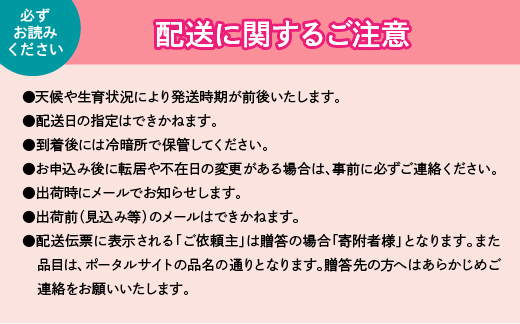 【2026年発送★先行予約】ご家庭用の桃2～3玉 111-022