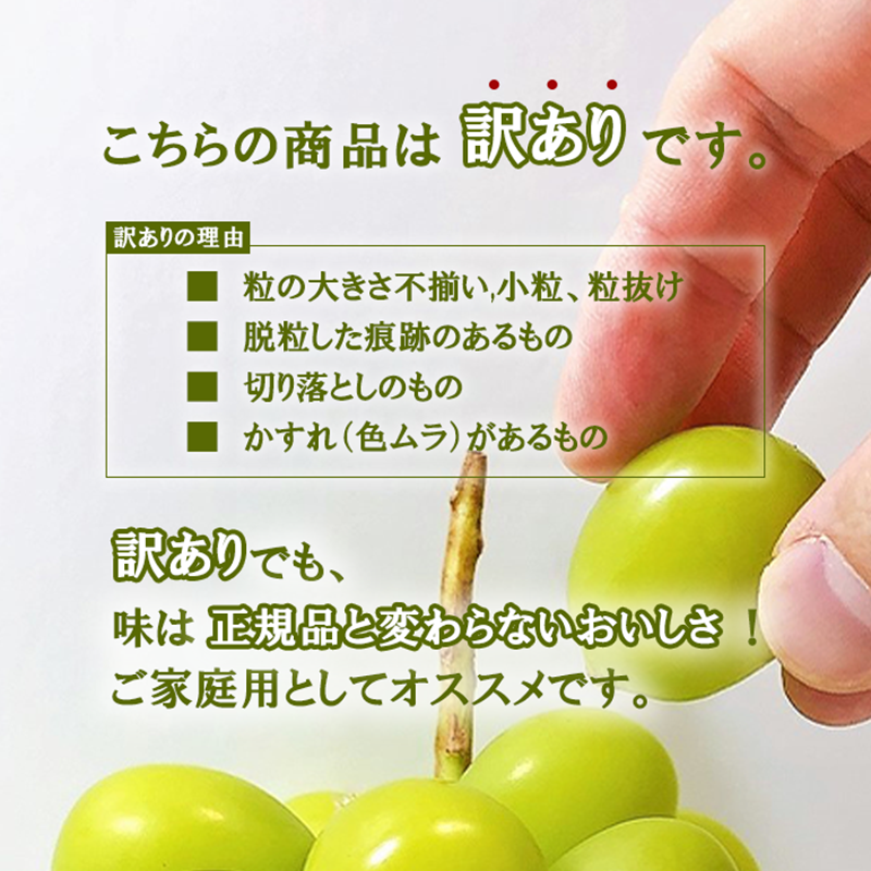 【2026年発送★先行予約】【訳あり】 シャインマスカット 粒 2kg以上　154-033-2kg