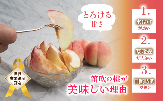 【2026年発送★先行予約】厳選！山梨県笛吹市産桃 約2kg（5～8玉） 156-003
