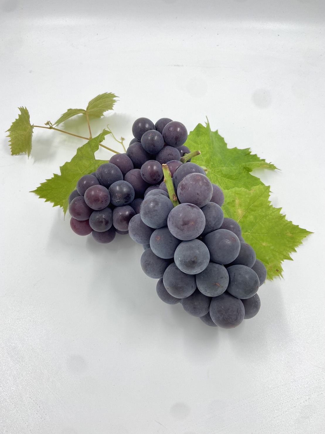 【2026年発送★先行予約】厳選！山梨県笛吹市産 巨峰 約1.0kg（2～3房） 156-011