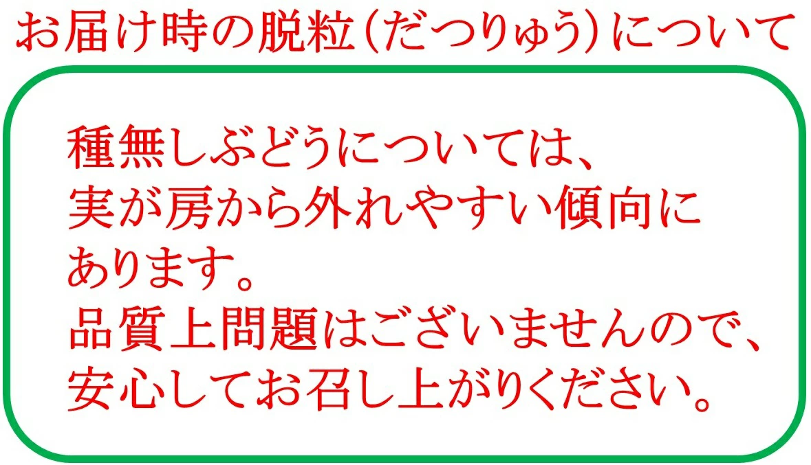 【2026年発送★先行予約】＞シャインマスカット 2-3房入り 1.6kg以上 1箱　164-005