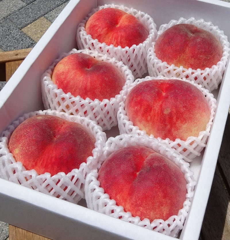 【2026年発送★先行予約】桃の一大産地！笛吹市産旬の桃2kg以上 167-001