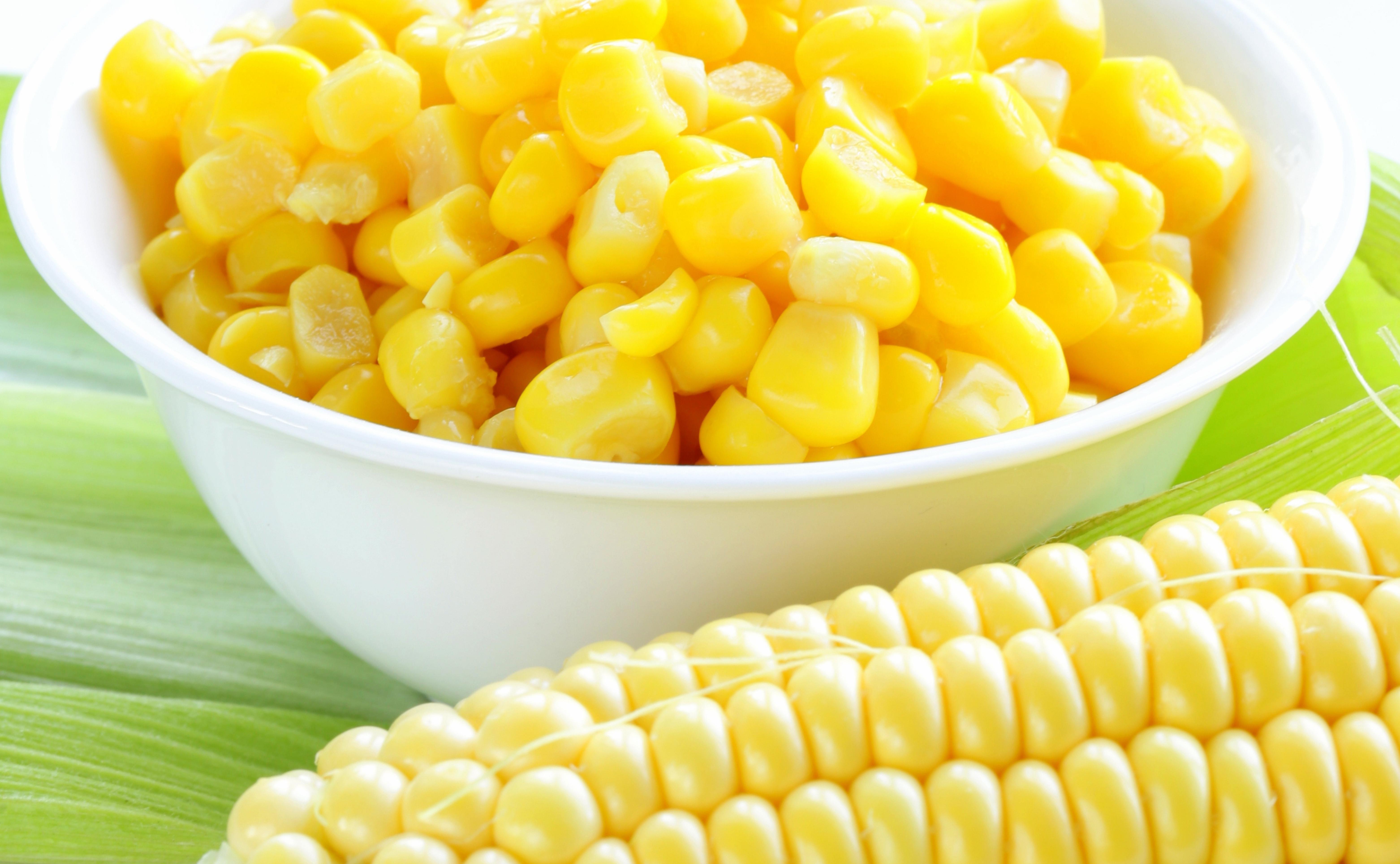 【2026年発送★先行予約】笛吹市八代産とうもろこし「ゴールドラッシュ」2.4kg 167-003