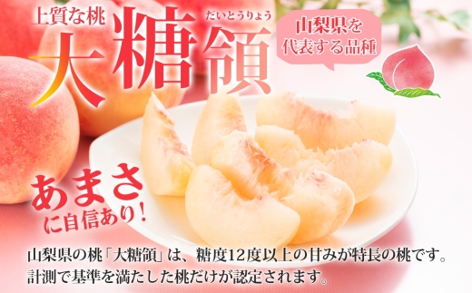 【2026年発送★先行予約】桃 秀品 3.0kg 大糖領 糖度12％以上※クール便配送 177-002