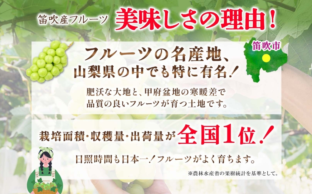 【2026年発送★先行予約】シャインマスカット 2房 1.2kg前後※クール便配送 177-009