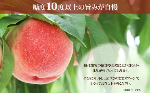 【2026年発送★先行予約】桃 秀品 2kg前後 糖度10％以上※クール便配送 177-011