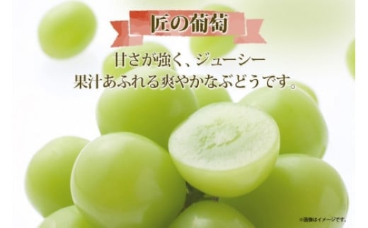 【2026年発送★先行予約】露地山梨県産 シャインマスカット 1房約700g程度 177-012