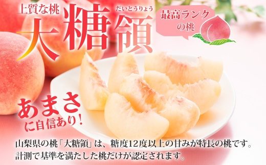 【2026年発送★先行予約】定期便全2回 桃 秀品 1.5kg 大糖領 シャインマスカット 1房 600g クール便 177-020