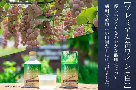 プレミアム缶ワイン 白 300ml 24本入 モンデ酒造 177-4-008|缶ワイン ワイン 白ワイン 300ml缶ワイン ワイン 白ワイン 300ml缶ワイン ワイン 白ワイン 300ml缶ワイン ワイン 白ワイン 300ml缶ワイン ワイン 白ワイン 300ml|