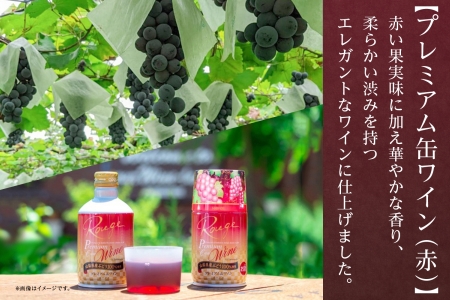 プレミアム缶ワイン 赤 300ml 24本入 モンデ酒造 177-4-009|缶ワイン ワイン 赤ワイン 300ml缶ワイン ワイン 赤ワイン 300ml缶ワイン ワイン 赤ワイン 300ml缶ワイン ワイン 赤ワイン 300ml缶ワイン ワイン 赤ワイン 300ml|