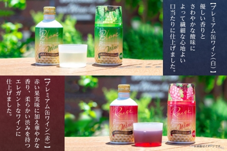 プレミアム缶ワイン 赤 白 ロゼスパークリング  12本入 ３種飲み比べ モンデ酒造 177-4-022|缶ワイン ワイン 赤ワイン 白ワイン ロゼ スパークリング缶ワイン ワイン 赤ワイン 白ワイン ロゼ スパークリング缶ワイン ワイン 赤ワイン 白ワイン ロゼ スパークリング缶ワイン ワイン 赤ワイン 白ワイン ロゼ スパークリング缶ワイン ワイン 赤ワイン 白ワイン ロゼ スパークリング|