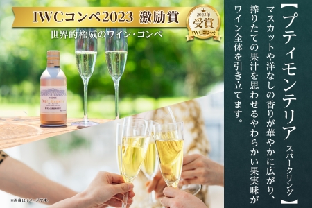 プティモンテリア スパークリング 2種 飲み比べ 290ml 6本入 モンデ酒造 177-4-036|缶ワイン スパークリング スパークリングワイン缶ワイン スパークリング スパークリングワイン缶ワイン スパークリング スパークリングワイン缶ワイン スパークリング スパークリングワイン缶ワイン スパークリング スパークリングワイン缶ワイン スパークリング スパークリングワイン|