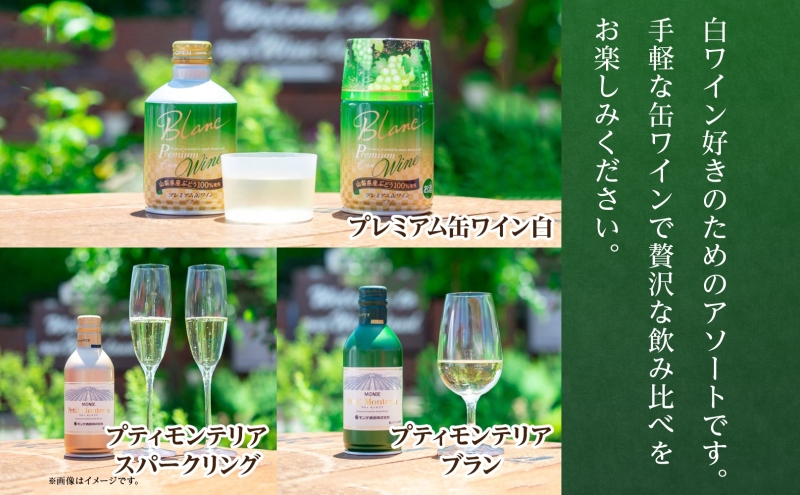 缶ワイン 白 5種セット 12本入 モンデ酒造 177-4-040|缶ワイン 飲み比べ ワイン 手軽缶ワイン 飲み比べ ワイン 手軽缶ワイン 飲み比べ ワイン 手軽缶ワイン 飲み比べ ワイン 手軽缶ワイン 飲み比べ ワイン 手軽缶ワイン 飲み比べ ワイン 手軽缶ワイン 飲み比べ ワイン 手軽缶ワイン 飲み比べ ワイン 手軽缶ワイン 飲み比べ ワイン 手軽|
