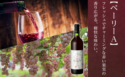 モンデ酒造 赤ワイン（ベーリーA・メルロ＆ブラッククイーン ）飲み比べ 各1本 計2本177-4-078 |ベーリーA メルロー ブラッククイーン 赤ワイン 飲み比べベーリーA メルロー ブラッククイーン 赤ワイン 飲み比べベーリーA メルロー ブラッククイーン 赤ワイン 飲み比べベーリーA メルロー ブラッククイーン 赤ワイン 飲み比べ|