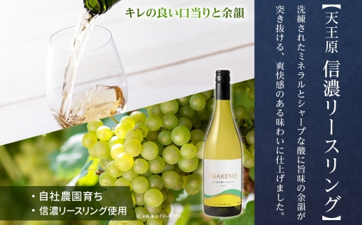 YOAKENO 白・赤飲み比べ（天王原信濃リースリング・北杜の雫）各1本 計2本177-4-079 |リースリング 北杜の雫 白ワイン 赤ワイン 飲み比べリースリング 北杜の雫 白ワイン 赤ワイン 飲み比べリースリング 北杜の雫 白ワイン 赤ワイン 飲み比べリースリング 北杜の雫 白ワイン 赤ワイン 飲み比べ|