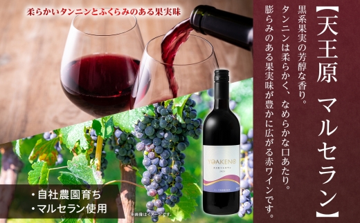 YOAKENO 天王原マルセラン 750ml×12本177-4-084 |天王原マルセラン 赤ワイン 12本天王原マルセラン 赤ワイン 12本天王原マルセラン 赤ワイン 12本天王原マルセラン 赤ワイン 12本天王原マルセラン 赤ワイン 12本天王原マルセラン 赤ワイン 12本|