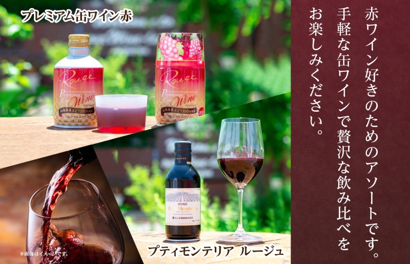 缶ワイン 赤 2種 飲み比べ プレミアム缶ワイン プティモンテリアルージュ 各300ml×6本 計12本 モンデ酒造 缶ワイン赤 酒 お酒 贈答 ギフト 晩酌 宅飲み 家飲み キャンプ BBQ パーティー アウトドア 送料無料 山梨県 笛吹市  177-4-167