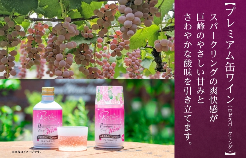スパークリング 缶ワイン 2種 飲み比べ プレミアム缶ワイン ロゼ プティモンテリアロゼスパークリング 各290ml×6本 計12本 モンデ酒造 酒 お酒 贈答 ギフト 晩酌 宅飲み 家飲み キャンプ BBQ パーティー アウトドア 送料無料 山梨県 笛吹市  177-4-171