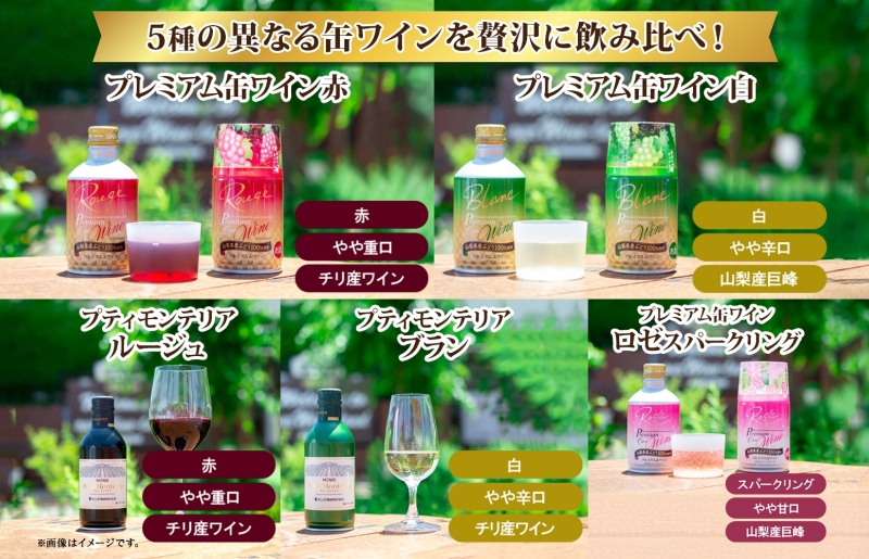 缶ワイン 欲張り 5種 飲み比べ セット 各2本 計10本 飲み比べ モンデ酒造 赤 ロゼ 白 ブラン 酒 お酒 贈答 ギフト 晩酌 宅飲み 家飲み キャンプ BBQ バーベキュー パーティー アウトドア 送料無料 山梨県 笛吹市  177-4-174