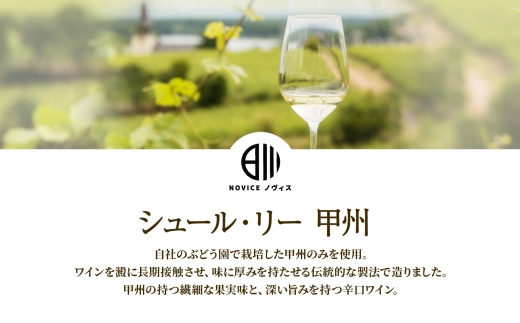 白ワイン NOVICEノヴィス シュール・リー 甲州 720ml×1本 フルボトル 辛口 日川中央葡萄酒 山梨県 笛吹市 177-7-11