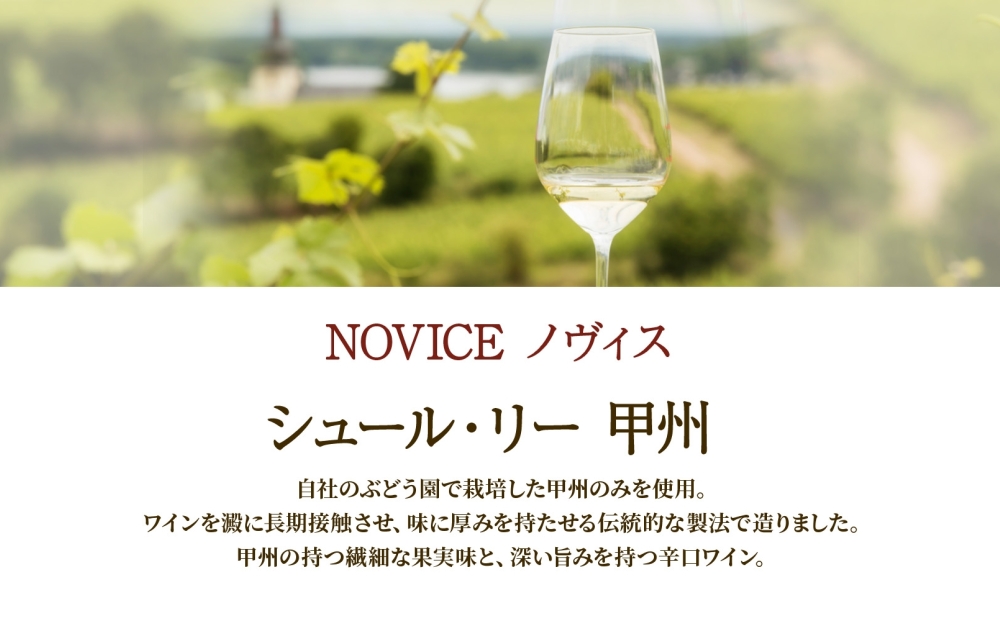 白ワイン NOVICEノヴィス  シュール・リー 甲州 720ml×6本 フルボトル 辛口 ワイン お酒 白 山梨 送料無料 日川中央葡萄酒 山梨県 笛吹市 177-7-29