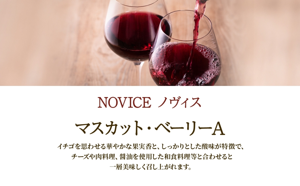 赤ワイン NOVICE マスカット・ベーリーA 720ml×6本 フルボトル  ワイン お酒 赤 山梨 送料無料 日川中央葡萄酒 山梨県 笛吹市 177-7-31