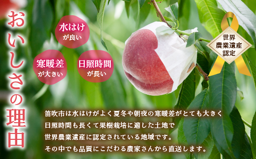 ＜25年発送先行予約＞笛吹市産　厳選! 旬の桃 約2kg (5~8玉) 205-001|もも 桃 2kg 2キロもも 桃 2kg 2キロもも 桃 2kg 2キロもも 桃 2kg 2キロもも 桃 2kg 2キロもも 桃 2kg 2キロもも 桃 2kg 2キロもも 桃 2kg 2キロもも 桃 2kg 2キロもも 桃 2kg 2キロもも 桃 2kg 2キロもも 桃 2kg 2キロもも 桃 2kg 2キロもも 桃 2kg 2キロ|