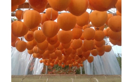 【2026年発送★先行予約】笛吹市産　枯露柿（干し柿）約800ｇ（12～16個） 205-010