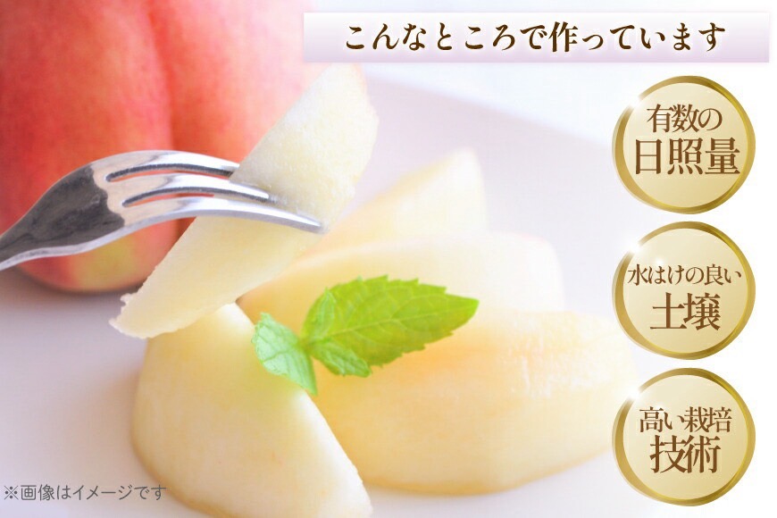 【2026年発送★先行予約】笛吹市産　厳選！桃［2kg］（5～8玉入）フルーツ大国！山梨県笛吹市より産地直送 209-001-26y OUTTA REACH JAPAN