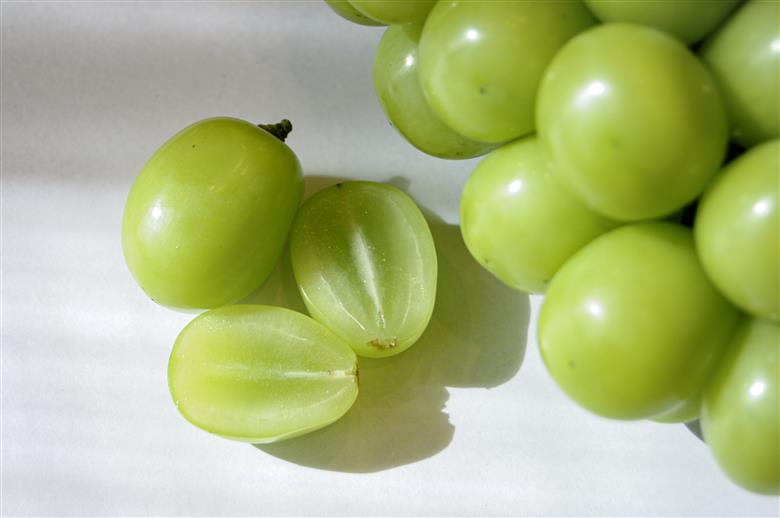 【2026年発送★先行予約】笛吹市産　厳選シャインマスカット［2.5kg］（4～6房）フルーツ大国！山梨県笛吹市より産地直送 209-004 OUTTA REACH JAPAN