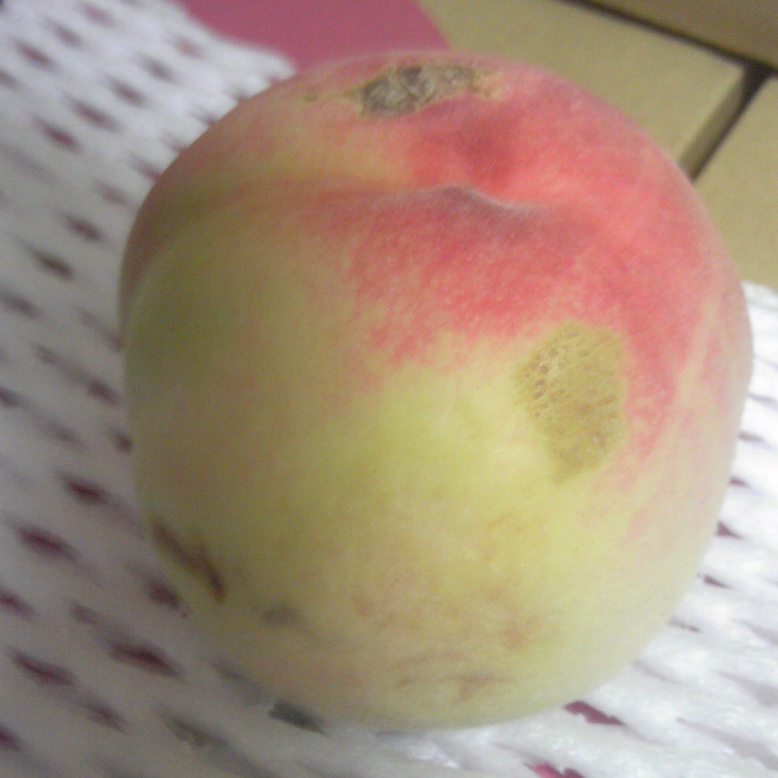 【2026年発送★先行予約】山梨県笛吹市産　ご家庭用桃(わけあり)　1kg　3玉～5玉 223-015