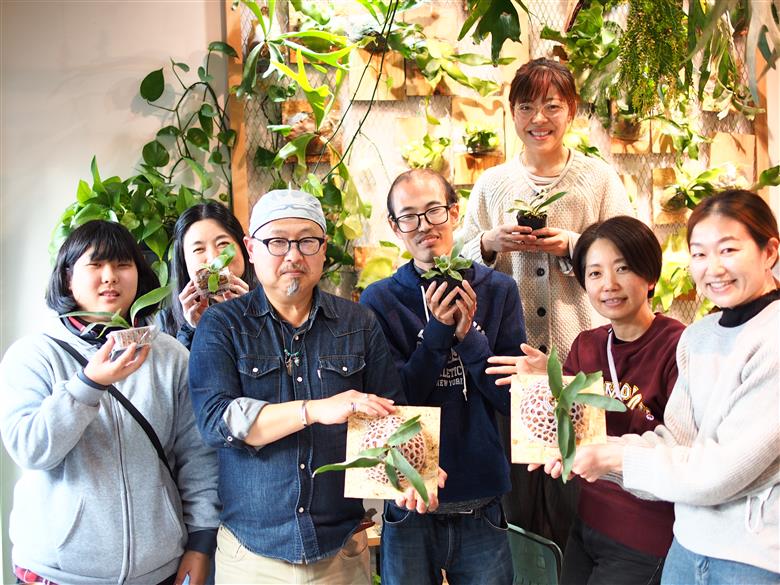 ビカクシダ Sサイズ 【3月～11月発送】　232-001 ふるさと納税 ヒガクシダ 植物 観葉植物 インテリア