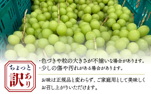 2024年先行予約＞ちょっと訳アリ 『シャインマスカット』 山梨県産ぶどう 青秀品 2～3房 計約1.2kg ※冷蔵 JAふえふき 203-012:  笛吹市ANAのふるさと納税