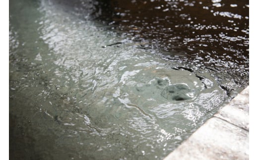 石和名湯館糸柳　スタンダード客室　平日ペア宿泊券1泊2食付き021-001|温泉 宿泊 宿泊券 旅行温泉 宿泊 宿泊券 旅行温泉 宿泊 宿泊券 旅行温泉 宿泊 宿泊券 旅行温泉 宿泊 宿泊券 旅行温泉 宿泊 宿泊券 旅行温泉 宿泊 宿泊券 旅行温泉 宿泊 宿泊券 旅行温泉 宿泊 宿泊券 旅行温泉 宿泊 宿泊券 旅行温泉 宿泊 宿泊券 旅行温泉 宿泊 宿泊券 旅行温泉 宿泊 宿泊券 旅行温泉 宿泊 宿泊券 旅行|