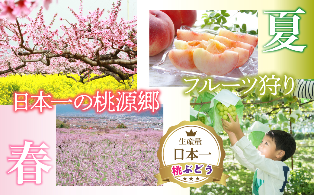 ふるさと納税 石和温泉利用券＜利用券15,000円分＞ 038-014 山梨県 笛吹市 いさわ ホテル 旅館 宿泊券 観光 旅行 果物狩り フルーツ ワイン ワイナリー 登山 ぶどう 桃 ブドウ 葡萄 ブドウ狩り 桃狩り クーポン トラベル 富士山 河口湖 山中湖 八ヶ岳 富士五湖 温泉旅館 アウトドア グルメ レジャー リゾート アクティビティ