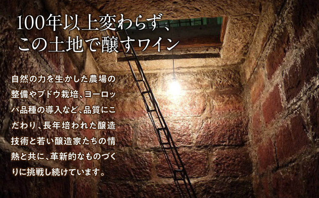 ルミエール ～ワイン定期便ハーフコース～063-006|ワイン 定期便ワイン 定期便ワイン 定期便ワイン 定期便ワイン 定期便ワイン 定期便ワイン 定期便ワイン 定期便ワイン 定期便ワイン 定期便ワイン 定期便ワイン 定期便ワイン 定期便ワイン 定期便|