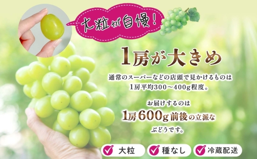【2026年発送★先行予約】定期便全2回 桃 秀品 1.5kg 大糖領 シャインマスカット 1房 600g クール便 177-020